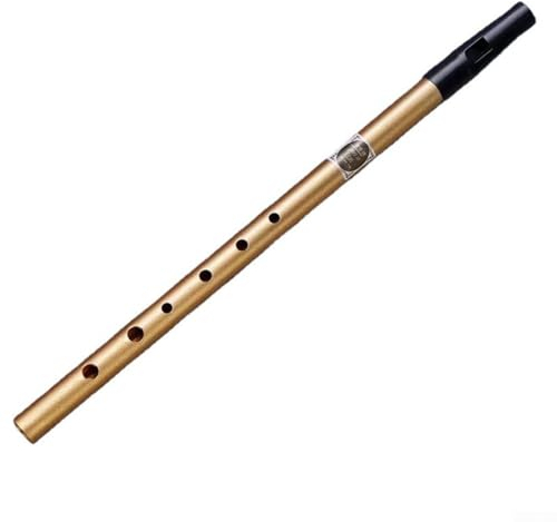 Zoegneer Klassische irische Pfeife mit 6 Löchern, CD-Schlüssel, Dose, Penny-Flöte, traditionelle Holzblasinstrumente für Pfeifenliebhaber (D)