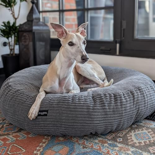 EDEL&SCHNELL orthopädisches Hundebett mit waschbarem Bezug, rundes Hundekissen in Sand mit Cord Bezug in Dunkelgrau, Durchmesser 90 cm