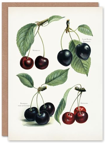 Artery8 John Wright Art Card Vintage Illustration of Cherry Varieties