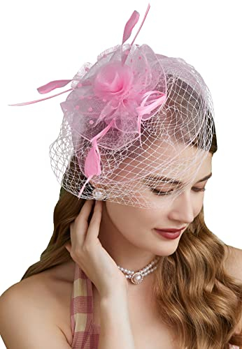Fascinators Hüte 20er 50er Jahre Hut Pillbox Hut Cocktail Tee Party Kopfbedeckung mit Schleier für Mädchen und Frauen, D-pink, Einheitsgröße