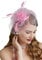 Fascinators Hüte 20er 50er Jahre Hut Pillbox Hut Cocktail Tee Party Kopfbedeckung mit Schleier für Mädchen und Frauen, D-pink, Einheitsgröße