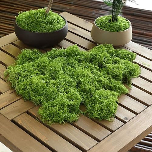 Best ZOIKOM Mousse Artificielle 100g,Mousse pour décoration de Pâques DIY Noël Floristique Terrarium (100, Grammes)