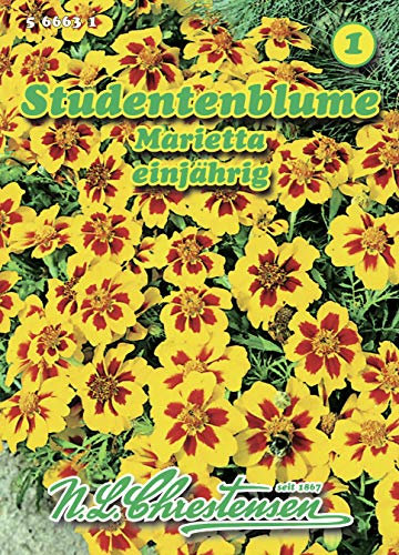 N.L. Chrestensen 566631 Studentenblume Marietta (Studentenblumensamen)