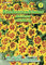 N.L. Chrestensen 566631 Studentenblume Marietta (Studentenblumensamen)