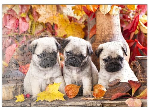 MyPuzzle Mops-Welpen - Premium 200 Teile Puzzle - MyPuzzle Sonderkollektion von Puzzle Galaxy