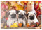 MyPuzzle Mops-Welpen - Premium 200 Teile Puzzle - MyPuzzle Sonderkollektion von Puzzle Galaxy