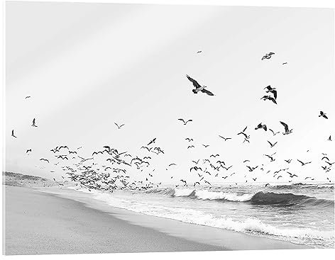 Posterlounge Vögel am Meer Acrylglasbild von Sisi And Seb 18 x 13 cm Schwarz-Weiß Wandbilder Wanddeko