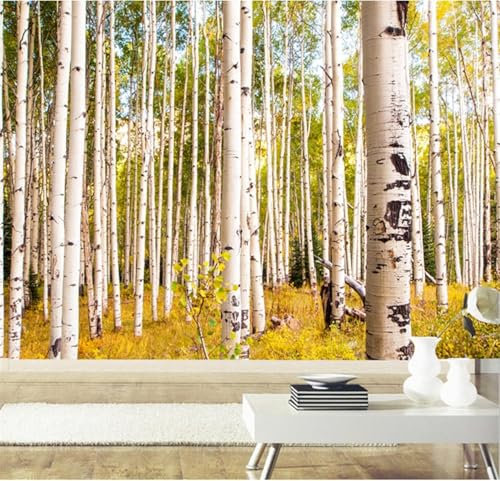 Papier Peint Panoramique Bouleau 150x105 cm 3D Papier Peint Intissé Forêt D'automne Photo Trompe l'oeil Poster Grand Mural Salon Chambre Enfant Chambre Décoration Murale a-2217