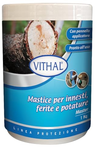 VITHAL Mastice per Innesti - Mastice per Piante Protezione Cicatrizzante per Alberi e Arbusti, Previene Marciumi e Infezioni, Pronto all’Uso Con Pennello Applicatore, 1kg