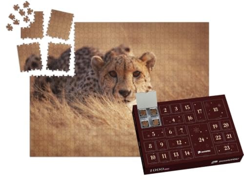 puzzleYOU: Puzzle-Adventskalender | „Gepard, bereit zum Sprung“ – aus der Puzzle-Kollektion Safari, Geparden, Tiere in Savanne & Wüste