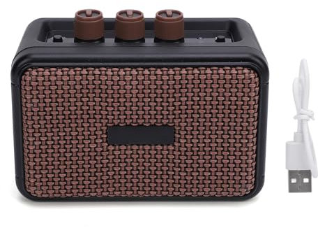 E-Gitarren-Combo-Verstärker, 6,35-mm-Schnittstelle, Gitarrenverstärker, Eingebaute Doppellautsprecher