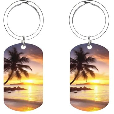 DWVSFJM Sunrise Tropical Palm Tree Island Metal Keychain Rectangle Car Key Ring Holder for Men Women Cute Print Key Chain Pendant Charm Gift Key Organizer Ring for Backpack Purse Decoration, Silver,