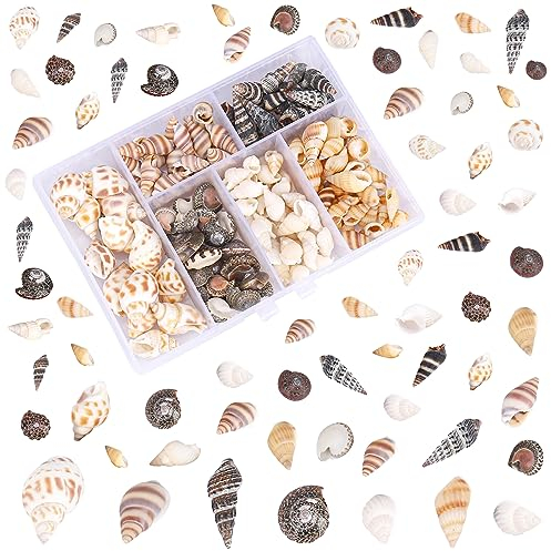 VIEVRE Muscheln,Deko Muscheln,Muscheln Deko,100 Stücke 1-3cm Muschel,Muscheln zum Basteln,Muscheln zum Auffädeln,6 Arten Spiral Muschel Perlen Ungebohrt für Vase Füllstoffe,DIY Kunsthandwerk