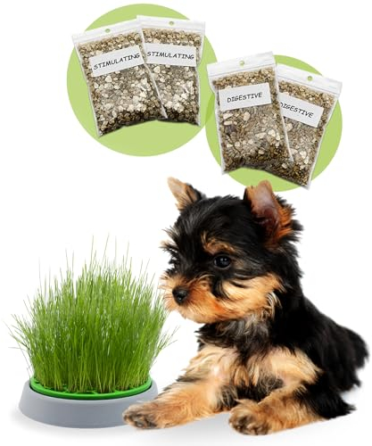 R&R SHOP - Kit Hierba para Perros Double Seeds - Maceta Germinadora, 2 Tipos de Hierba para Perros, Estimulante y Digestiva, 4 Sobres de Semillas y Sustrato, Apto para Todos los Perros