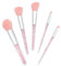 PAMINGONO Coffret De Maquillage Pour Femme 5 Pinceaux Fond De Teint Sourcils Blush Kit De Cosmétiques