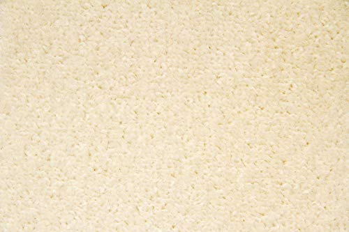 Steffensmeier Kurzflorteppich Cambridge Young | Teppich für das Wohnzimmer, Jugendzimmer in, Creme, Größe: 100x200 cm