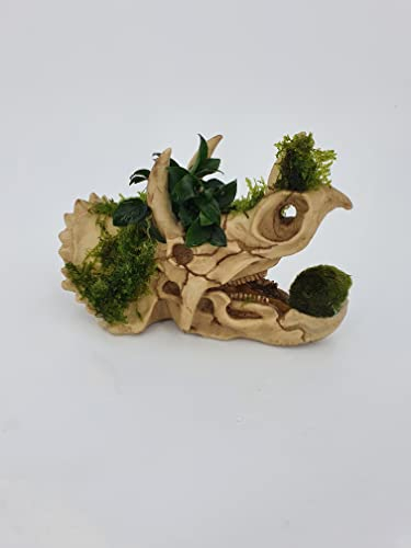 SAHAWA Wasserpflanzen auf Nashorn groß (Polyresin Kunstharz) Garnelenbäumchen Aquariumdeko Naturdeko