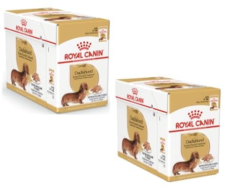 Royal Canin Dachshund Adult Mousse | Doppelpack | 2 x 12 x 85 g | Alleinfuttermittel für Hunde | Ausgewachsene Dackel