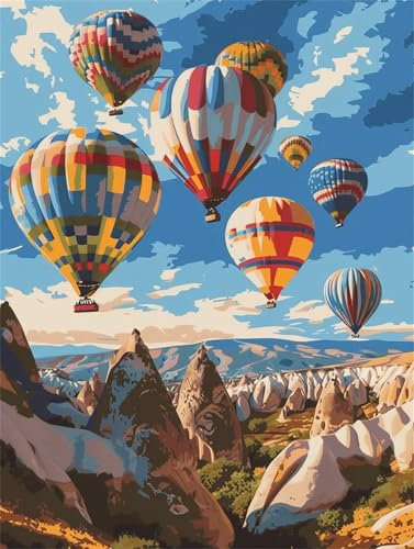 Luftballons Malen Nach Zahlen Erwachsene, Landschaft Malen Nach Zahlen Kinder Klein 20x30cm, DIY Set Erwachsene Handgemalt Leinwand Ölgemälde, Acrylfarben mit 3 Set Pinseln, Zimmer Deko Aesthetic-Y488