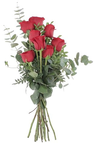 KENTIS - Bouquet di 8 Rose Rosse - Rose Fresche a Domicilio con Biglietto Personalizzato - Mazzo di Fiori Veri