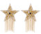 Naimo Damen Sexy Nippel Cover Glänzenden Strass Brustwarzenabdeckung Selbstklebend Wiederverwendbare Nippelpads Brust Pasties Stern Nippelabdeckung mit Quasten