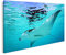 Bild auf Leinwand Manta Rochen Wandbild Poster Kunstdruck Bilder