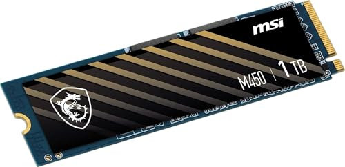 MSI M450 PCIe 4.0 NVMe M.2 1TB V1 - Disque SSD Interne 1 to, PCIe 4.0 NVMe M.2, Lecture 3400 MB/s & Écriture 2400 MB/s, 3D NAND, Sécurité des Données Intégrée, 350 TBW, Garantie 5 Ans