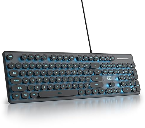 SOLIDEE 100% Membrane Keyboard, 104 Keys Punk Retro Typewriter, Round Keypad Membrane Keyboard, with Wired USB Cable for PC/Win/Mac/Laptop (American QWERTY) (V300 Black)