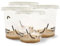 LEPITERRA® Caterpillar Cups - Caterpillar Refill Set - 4 Caterpillar Cups (Each Approx. 7 Caterpillars) | Ideal Addition to Butterfly Habitat | Breeding Butterflies [Success Guarantee] | Domestic
