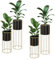 ML-Design Set de 4 Supports de Plantes, 21x46,7/24x70,5 cm, Noir et Or, Rond en Acier, Support de Pots de Fleurs avec Cache-Pot, Porte-Fleurs Décoratif, Tabouret de Fleurs Moderne, pour Salon, Entrée
