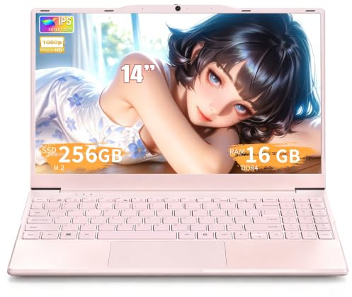 Amita Portatile 14 Rosa Pastello con processore N5095 (fino a 2.9 GHz), 16GB RAM DDR4, Custodia tastiera ITA, USB3.0, BT5.0, Mini-HD, tasto fisico privacy webcam. (GB, 256)