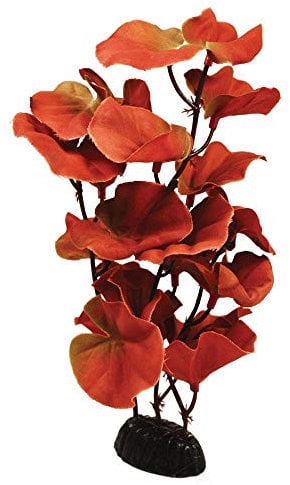 Cardamin Red Silk Like Plant 13cm by KenKoi