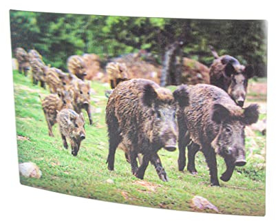 Cornelissen 3 D Ansichtskarte Frischling, Postkarte Wackelkarte Hologrammkarte Tier Wildschwein
