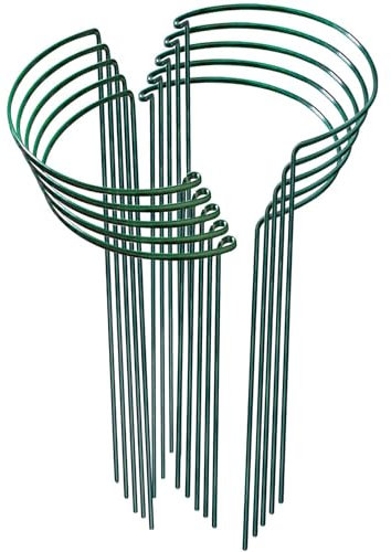 JKKLCC 10Pcs Plant Supports For Garden 25x60cm Half Round Ring Plant Support Large Green Metal Garden Supports with 4.5MM Wire Diameter for Indoor And Outdoor Plants Tomatoes, Peonies, Strawberries