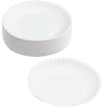 JOINPAYA 50pcs Disposable Paper Plates for Boy Girl White Blank Painting Trays for DIY Crafting and Art Projects Graffiti Plates for Boys and and Hands Fun