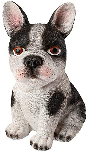 alles-meine.de GmbH große Spardose - Hund - Bulldogge - 16 cm - mit Verschluss - stabile Sparbüchse - aus Kunstharz/Polystone - Sparschwein - für Kinder & Erwachsene/Kindersp..