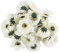 Ideen mit Herz Deko-Blüten, Kunstblumen, Blüten-Köpfe, Verschiedene Sorten, ca. Ø 4-5 cm (Anemone - weiß - 27 Stück)