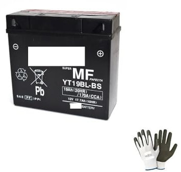 Compatible avec BMW R RT (K26) 1200 2005-2013 Batterie YUASA YT19BL-BS (FOURNIE SCELLÉE) Batteries 12V / 18AH pour Moto SPÉCIFIQUES 186X82X171MM