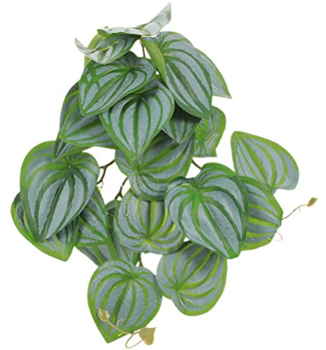 Alasum Plante De Reptile Plante De Reptile Suspendue pour Terrarium Feuilles Artificielles De e