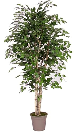 Künstlicher Birkenbaum 200cm mit echten Birkenstämmen