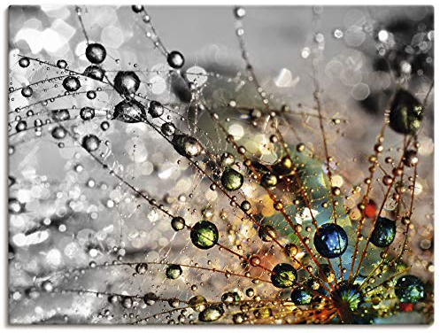 ARTland Wanddeko Leinwand Bilder Wandbild 60x45 cm Blumen Pusteblume Botanik Blüten Modern Kunst Sommer Natur T9IN