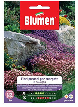 SEMI FIORI PERENNI PER SCARPATE IN MIX BLUMEN