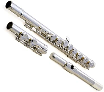 Anfänger Profi Querflöte Einsteiger 16 Versilberte C-Flöte Mit Geschlossenen Löchern Querflöte Anfänger (Color : Leather)