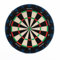 Precise180 - Dartboard Endorphine - Arctic Blue - Premium Dartboard mit One Piece Zahlenring - 18 Farben - Dartscheibe Nummernring - Dartzubehör