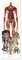 Grupo Erik Poster Türposter Attack On Titan Poster Covers Kunstdruck - Deko Wohnzimmer oder Deko Schlafzimmer - Deko Zimmer - Größe : 53 x 158 cm - Offizielle Attack On Titan Fanartikel