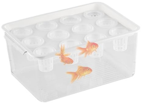 Planteurs Aquaponiques Et Aquariums Pour Betta -fischen, Betta Fischank - Aquaponics Garden, Fisch Tank favorise un environnement hydroponique sain pour la décoration de table