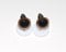 celloexpress 15mm GLASS LIKE Light Brown Eyes with Plastic Backs - Safety Eyes for Soft Toy or Teddy Bear Making - Pack of 1 Pair