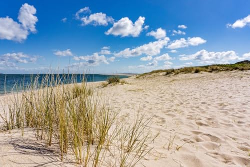 Magnettafel Pinnwand XXL Magnetbild Sand Strand Düne Meer Größe 80 x 60 cm