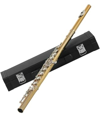 flöte Professionelle Flöte, 16 Löcher, Metall, C-Taste, Flöte mit Koffer, abwischbare Stoffhandschuhe, Instrumentenzubehör