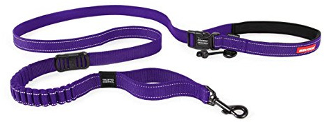 EzyDog Road Runner Dog Leash (Purple)